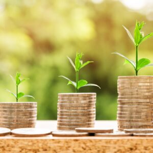Capital Gains Tax and VAT