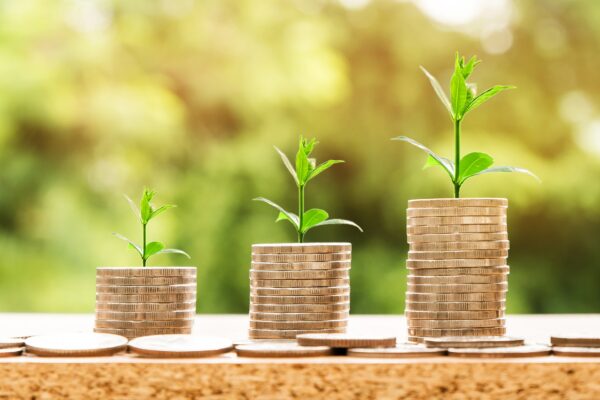 Capital Gains Tax and VAT